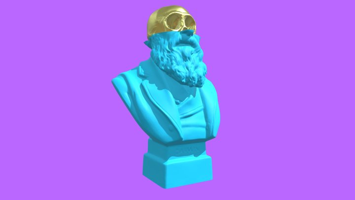 Darwin Skull 01 3D Model