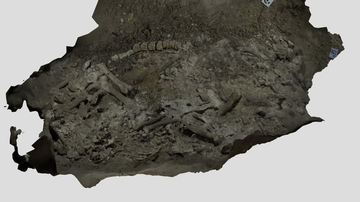 Alkerdi_Oso_4 3D Model