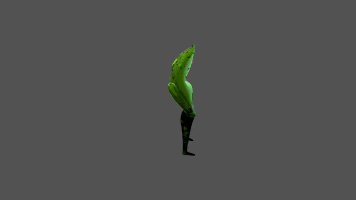 Lilie(water lily) 3D Model