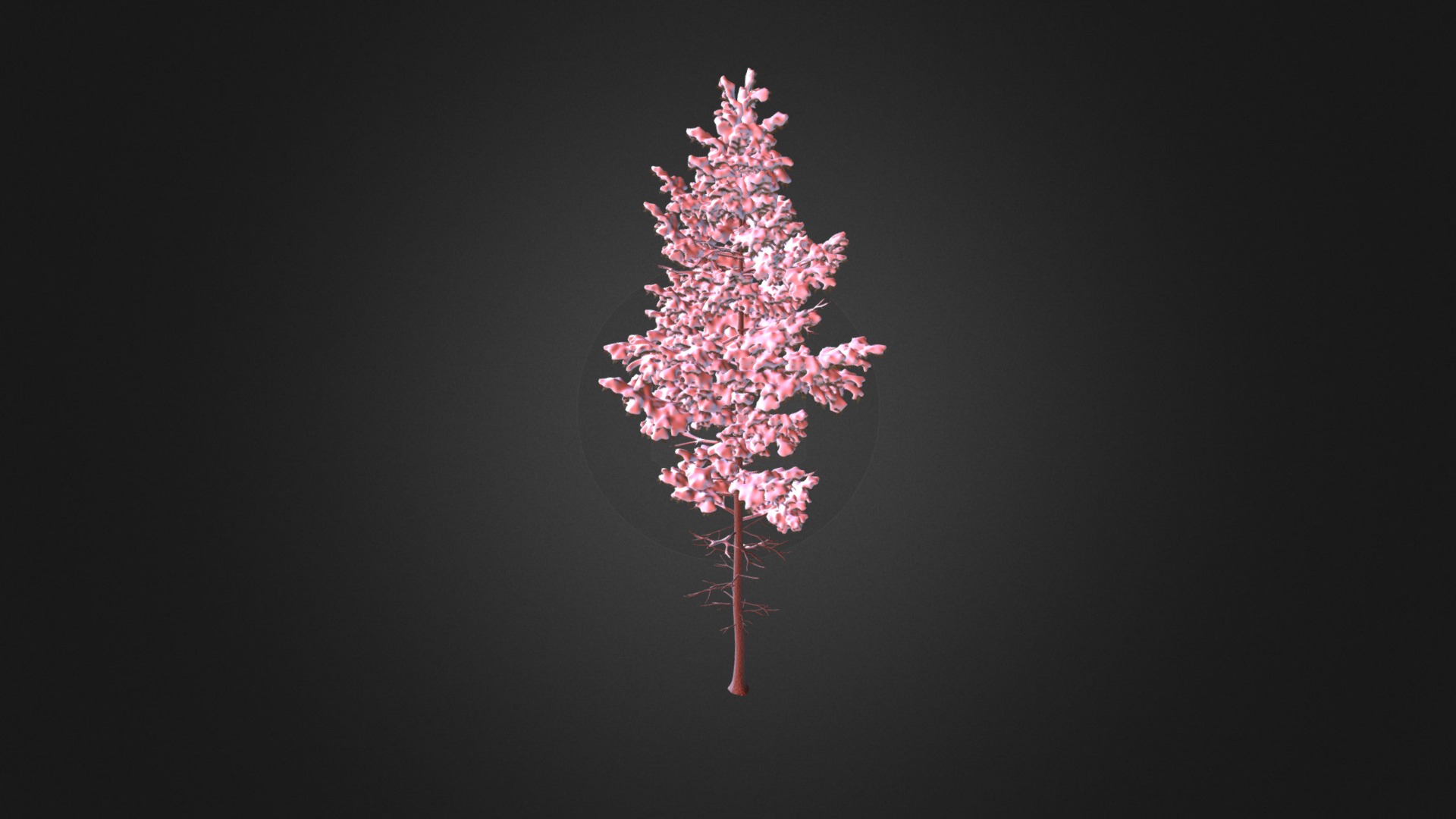 3D model Pine Tree with Snow 3D Model 10.2m - This is a 3D model of the Pine Tree with Snow 3D Model 10.2m. The 3D model is about a pink flower with a stem.