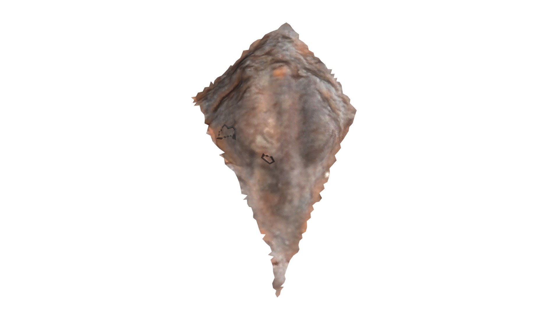 D15 - aurochs MNIR