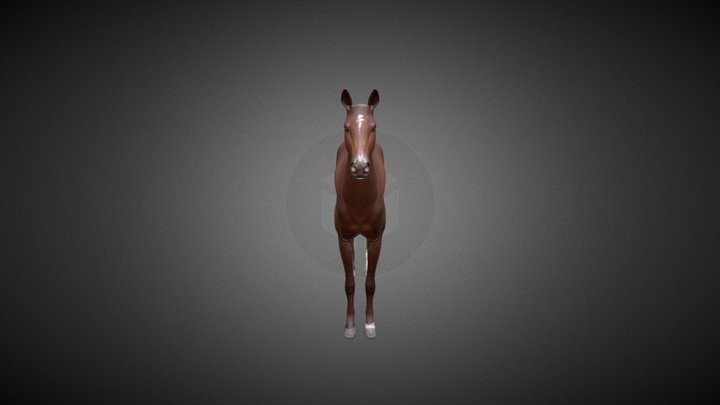Horse Base For SF 3D Model
