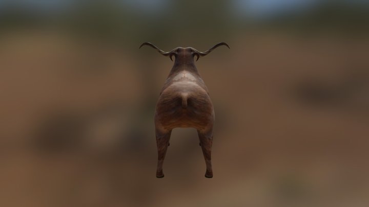 1 3D Model