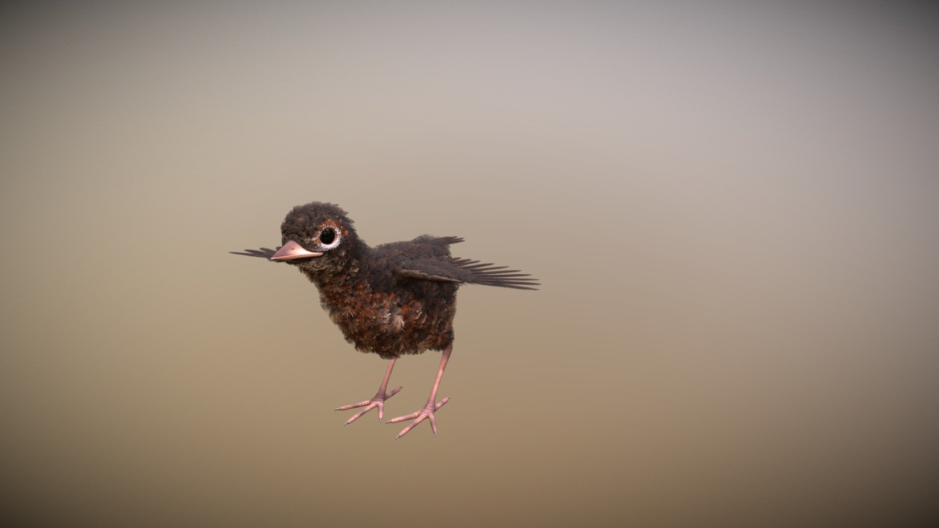Baby Robin - 3D model by Anne.Eva.Schulin [cacc421] - Sketchfab