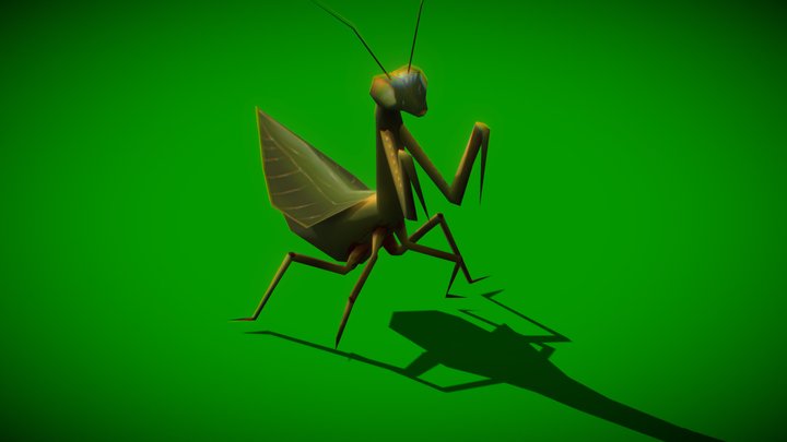 Praying Mantis 3D Model
