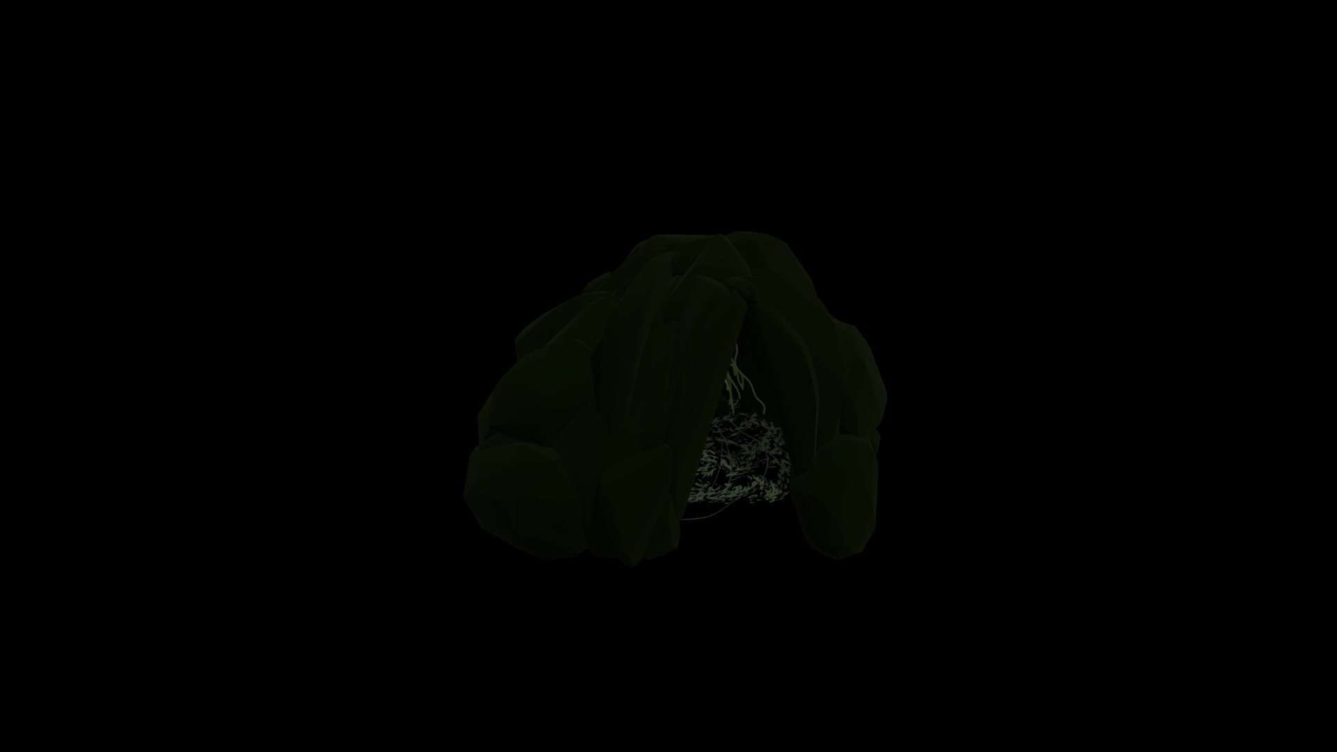 Myco-Cave