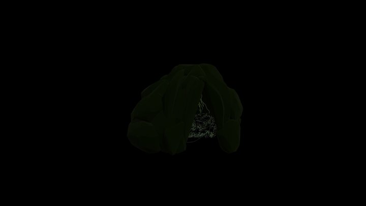 Myco-Cave 3D Model