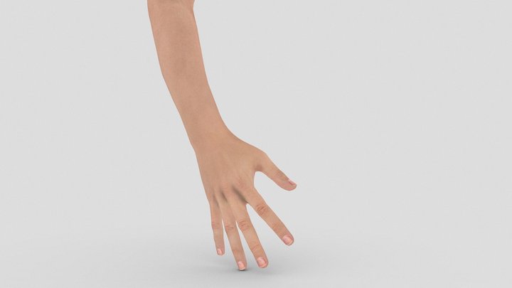 Female Hand gesture - Wide Open 3D Model