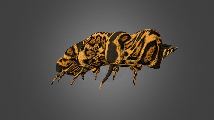Tardigrade Mutant 3D Model