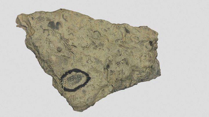 rock 26 3D Model