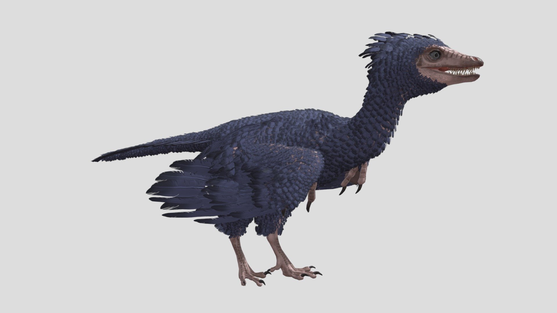 ARK archaeopteryx - Download Free 3D model by seth the yutyrannus ...