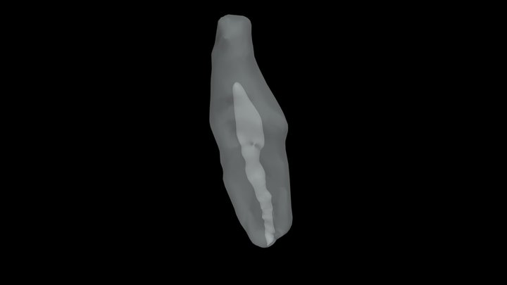 25 Beginner 3D Model