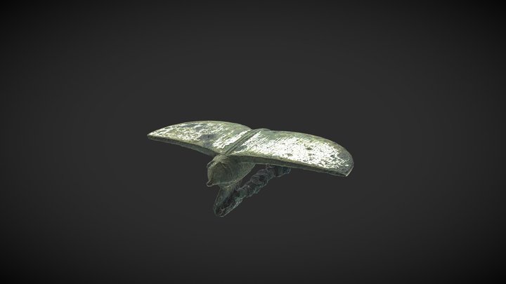 Insect Brooch, Howe, Orkney 3D Model
