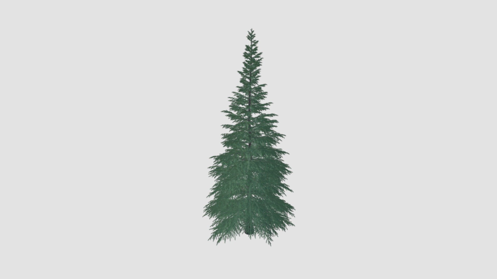 tree - Buy Royalty Free 3D model by Evermotion [cae7eef] - Sketchfab Store