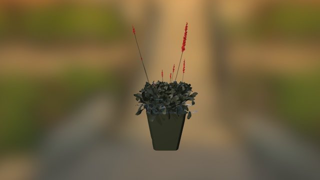 Plants 3D Model