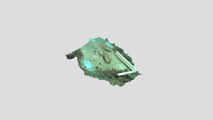 3D 3 3D Model