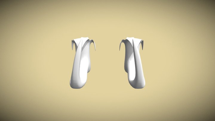 Escarpines 3D Model