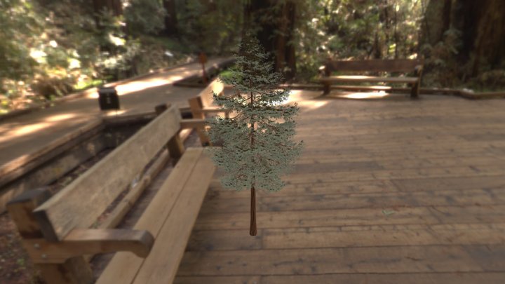 redwood0 3D Model