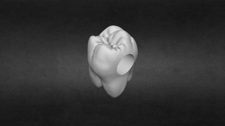 Pandora Tooth Charm 3D Model