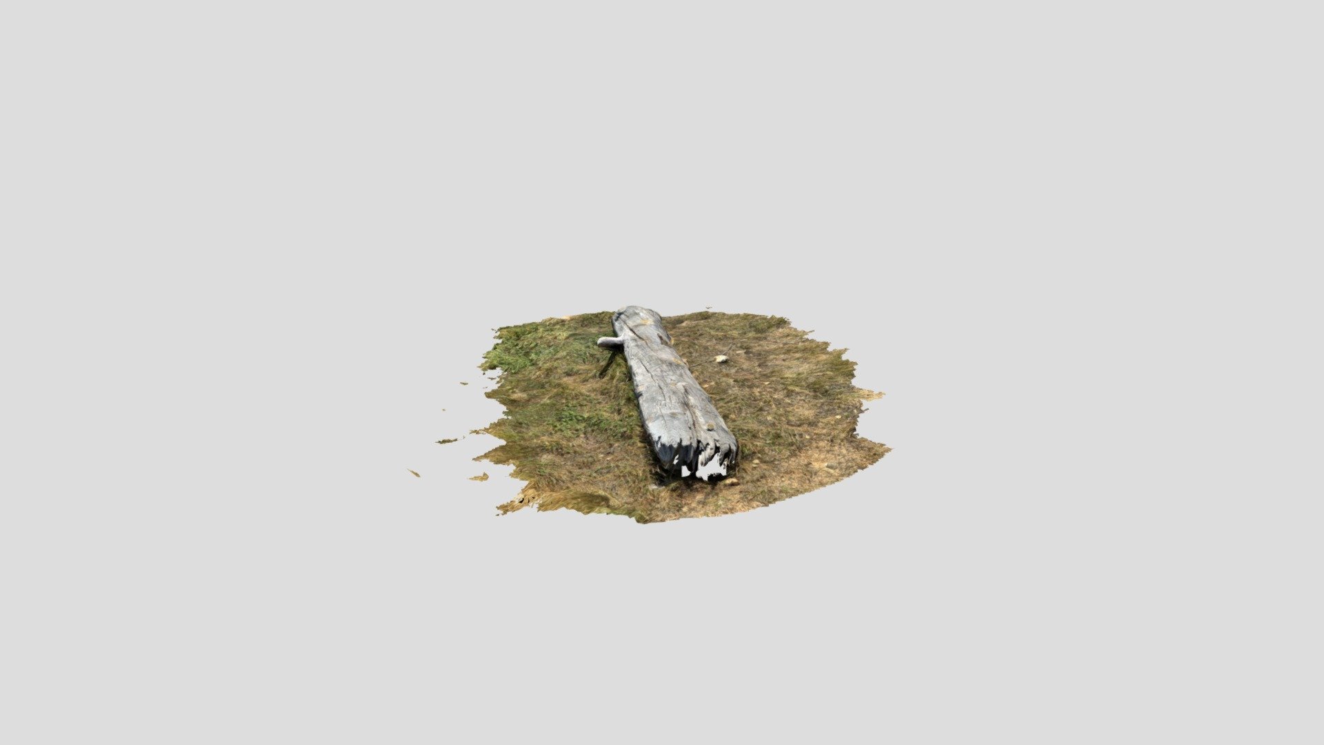 Untitled Scan 2