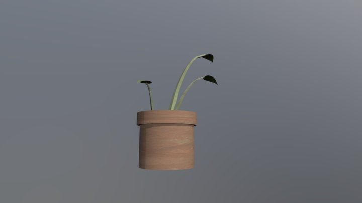 Plant Final 3D Model