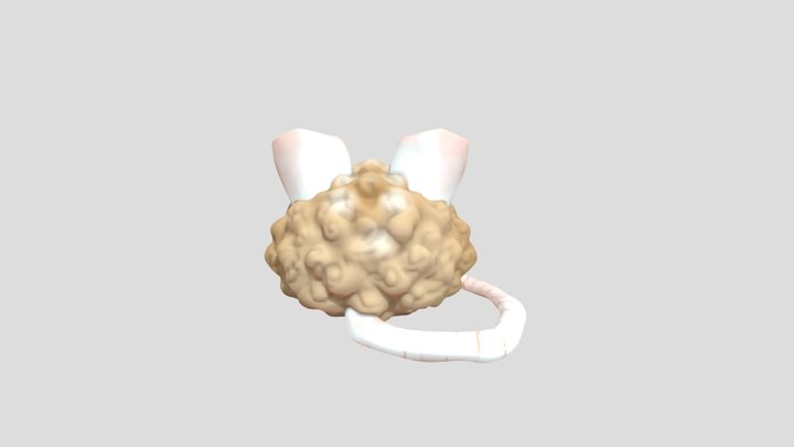 ratball 3D Model
