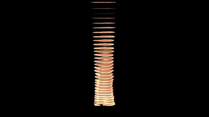 豚ロース　スライス 3D Model