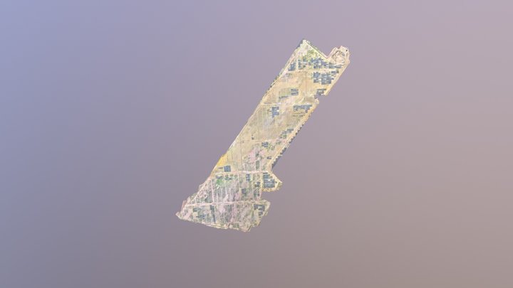 Project-2018-08-28 Simplified 3d Mesh 3D Model