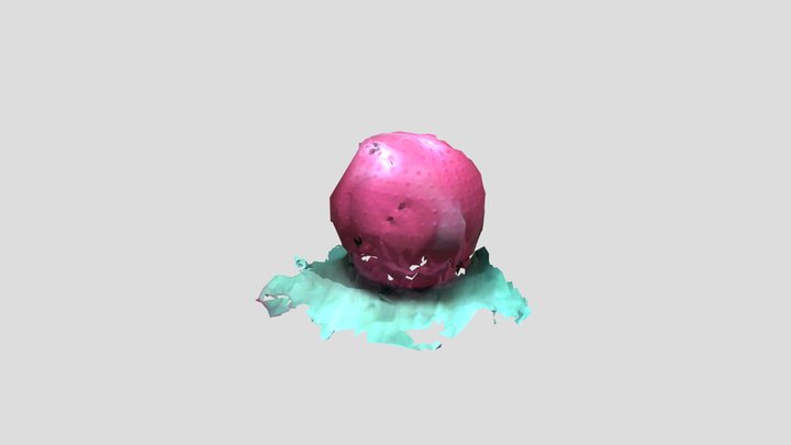 upload_scan 3D Model