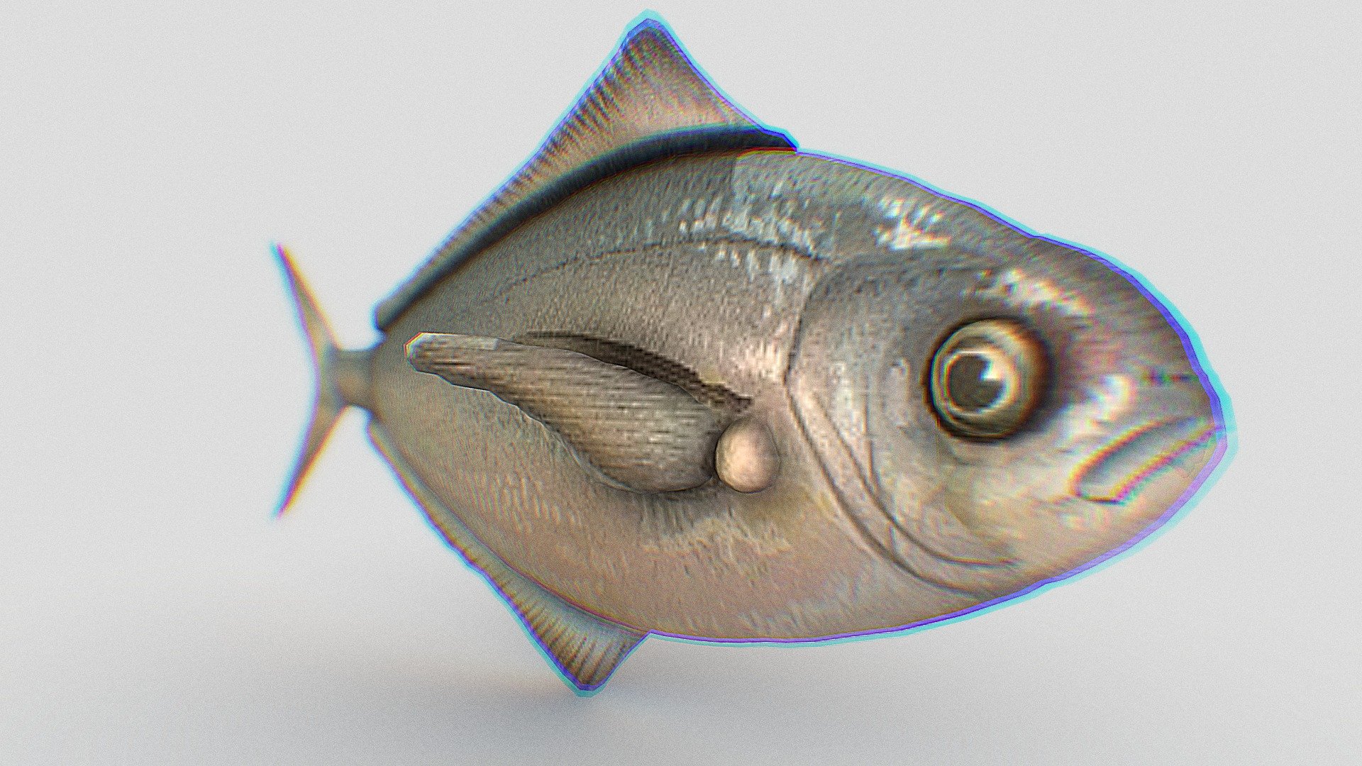 1215fish