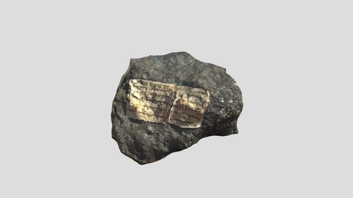 Meteorite Renazzo (Color) 3D Model