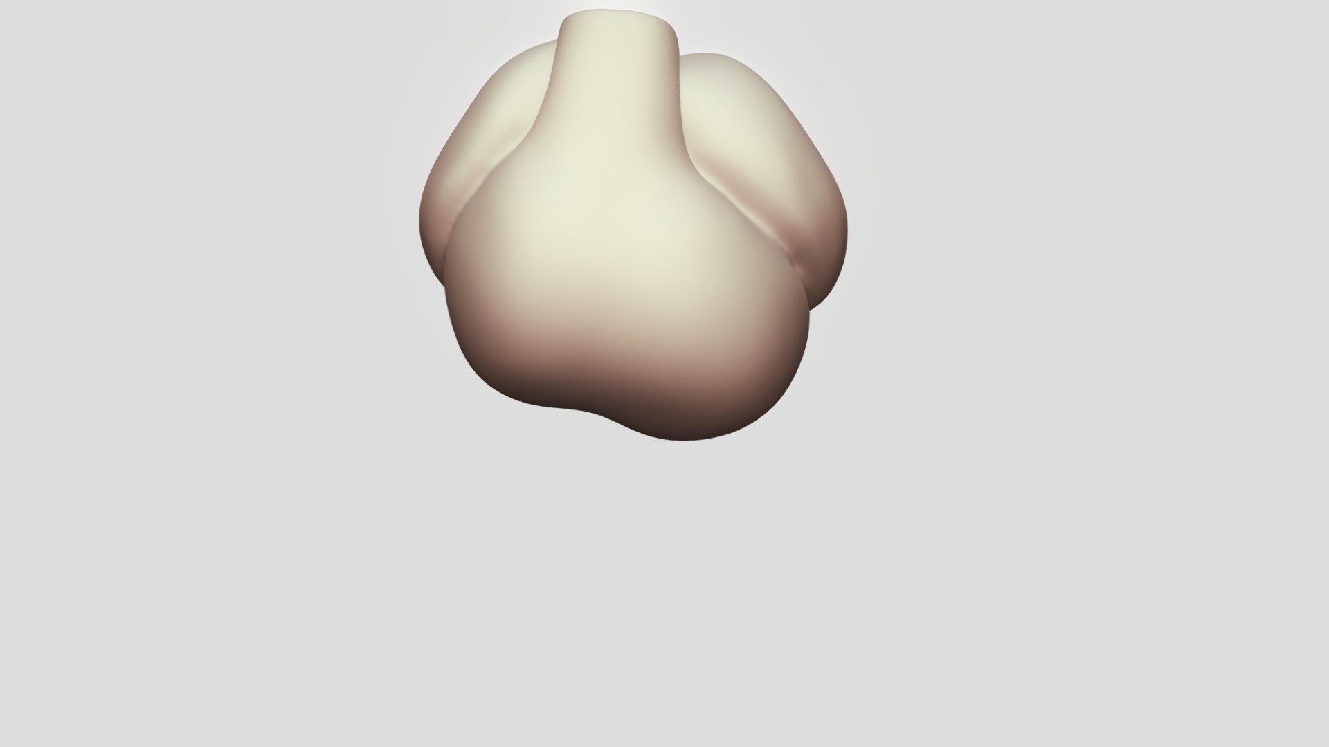 Embryonic Heart