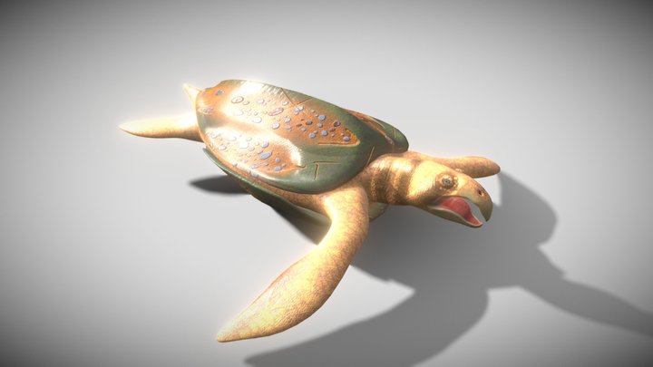 Archelon Turtle 3D Model