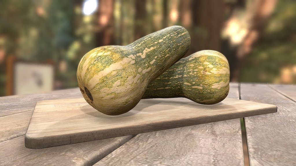 Elongated pumpkin