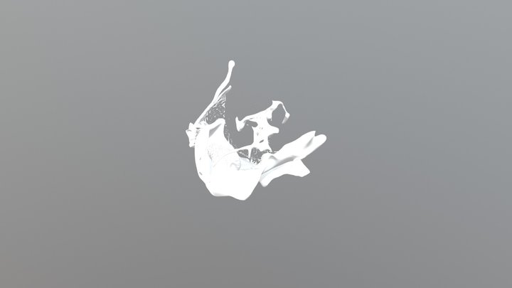 Paint Splash 3D Model