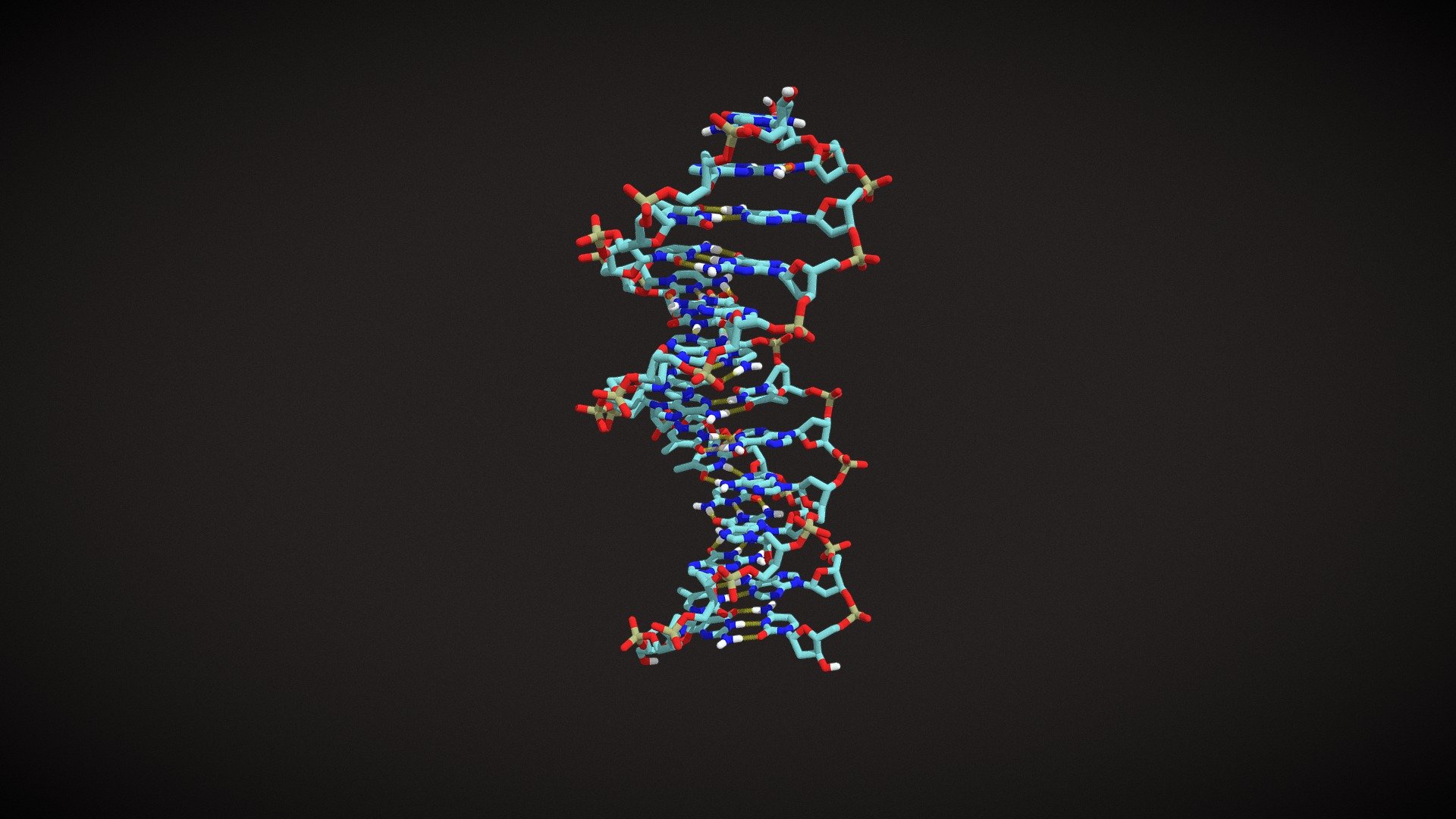 B-DNA, Stick Model - Download Free 3D Model By Gvsuchem (@gvsu-chem ...