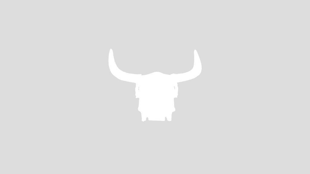 Cow Skull Decoration