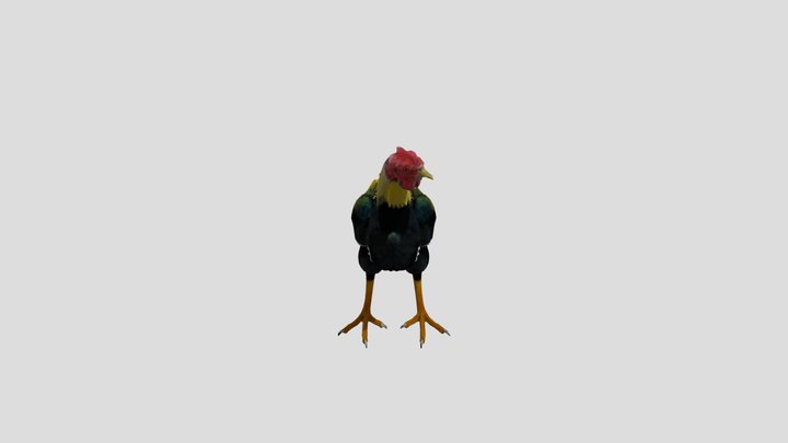 Guardian Rooster 3D Model