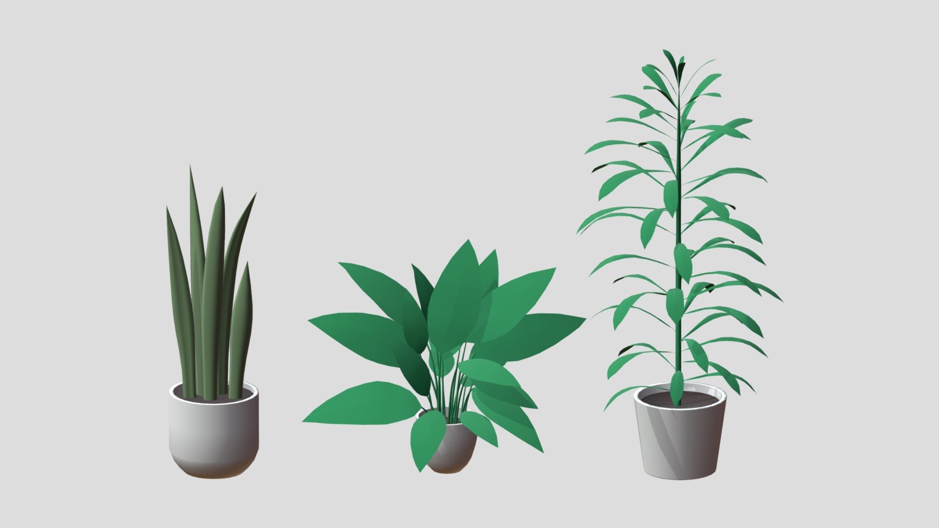 Office plants (FREE)