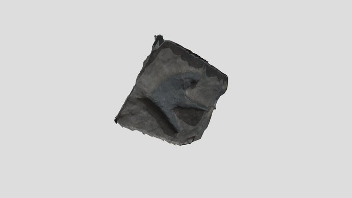 Theropoda fossil print 3D Model