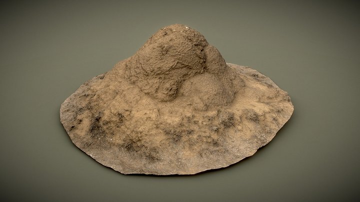 Termite Mound - Photoscanned - High Poly 3D Model