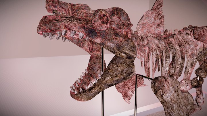 Dino -Shark skeleton 3D Model