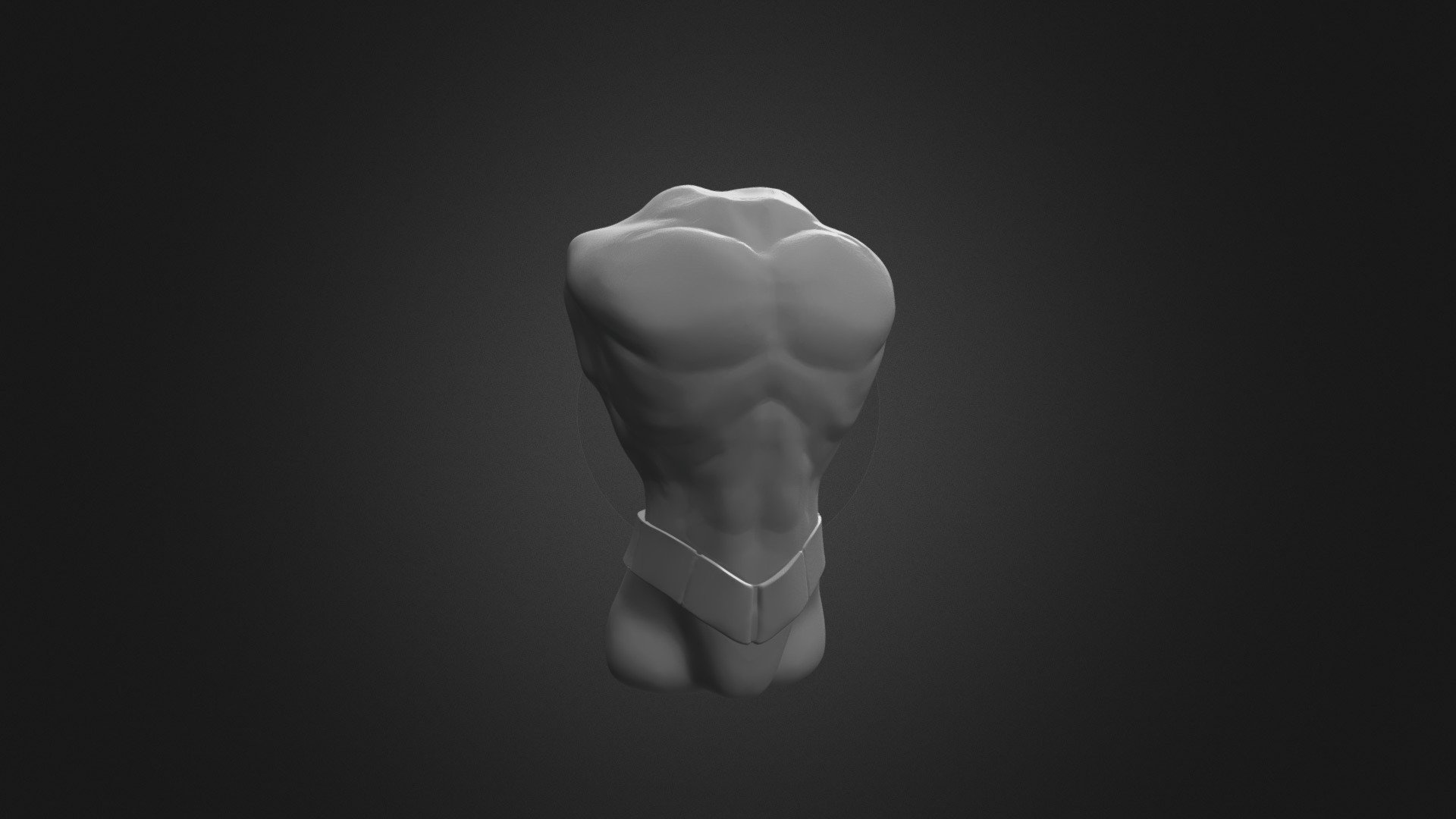 Dark Dan Torso