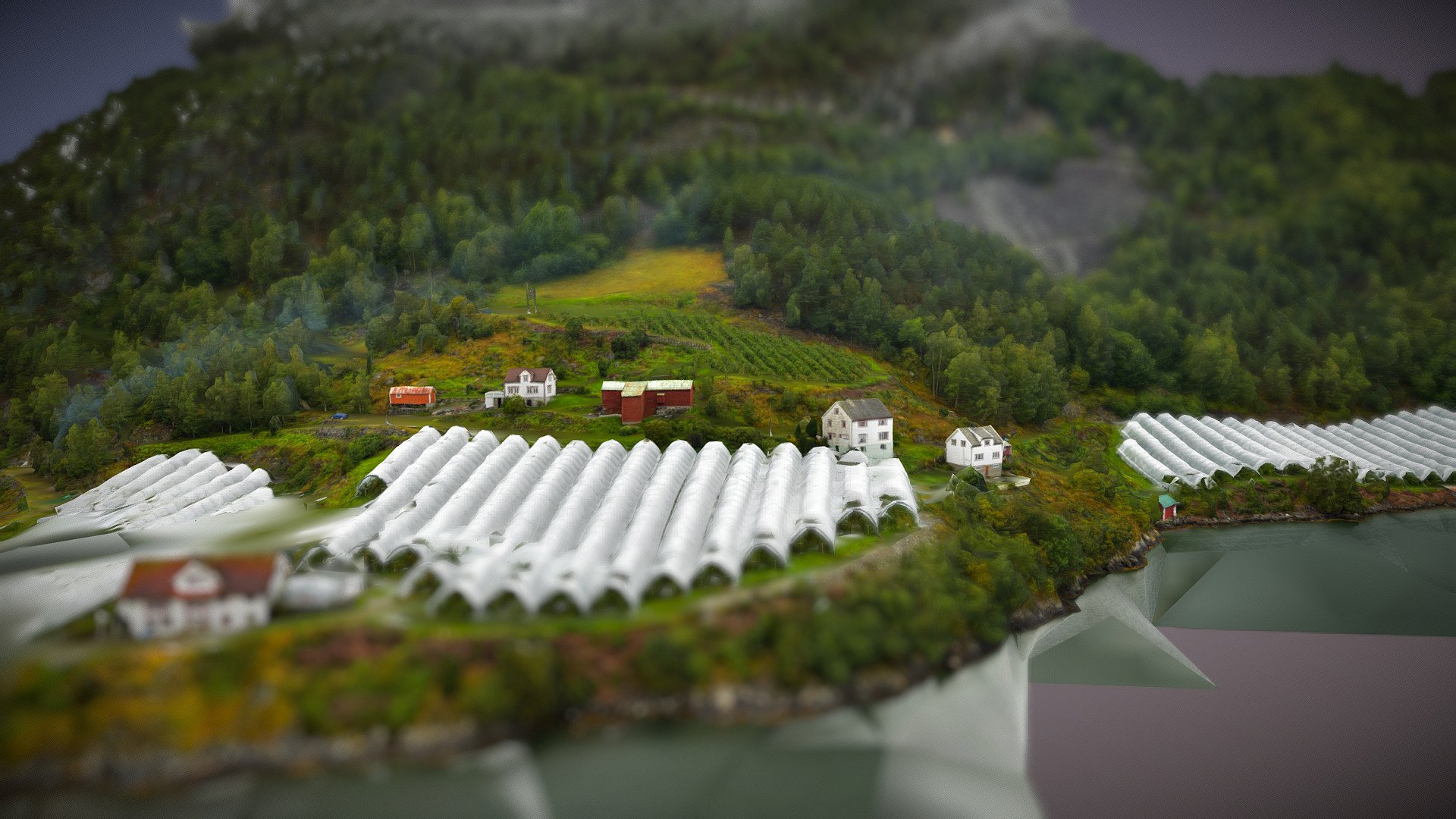 Sognefjord Coast 2