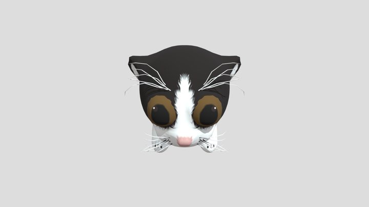 Screwed up meme cat 3D Model