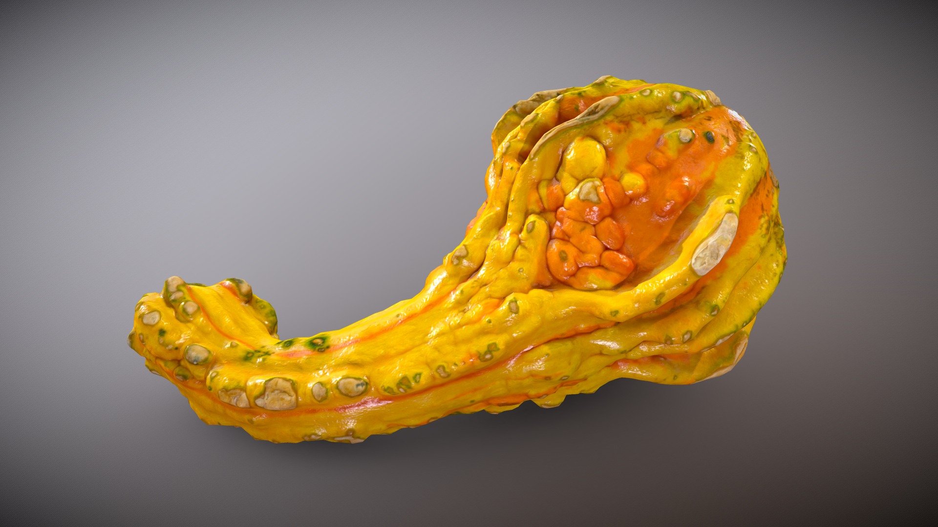 3D model Squash / Gourd (includes low poly model) - This is a 3D model of the Squash / Gourd (includes low poly model). The 3D model is about a yellow snake with a black background.