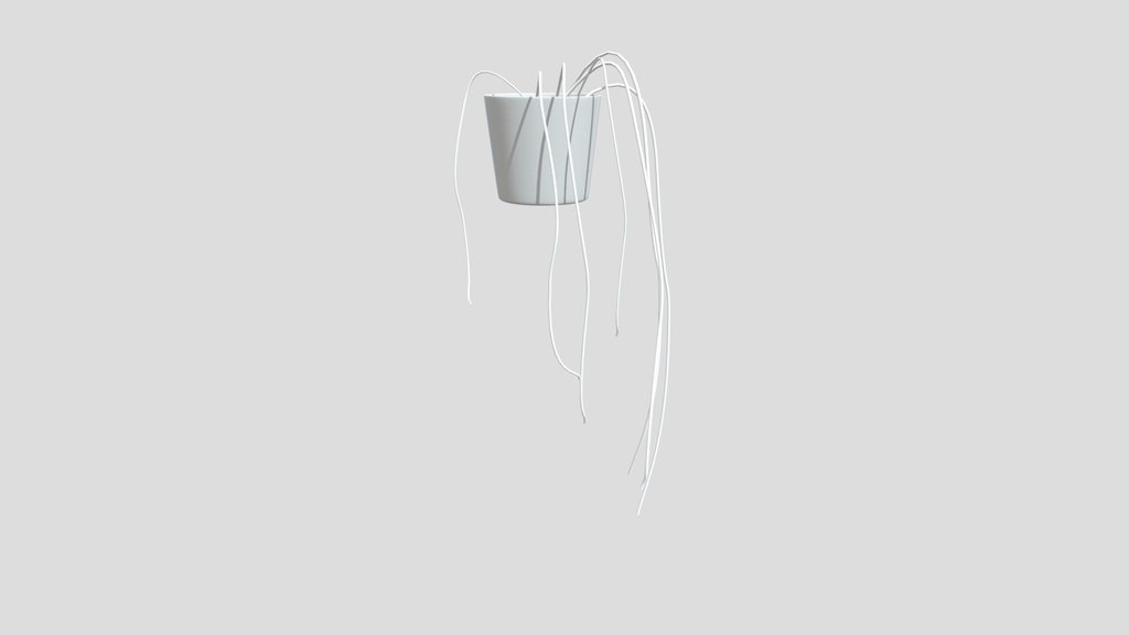 Indoor Hanging Plant