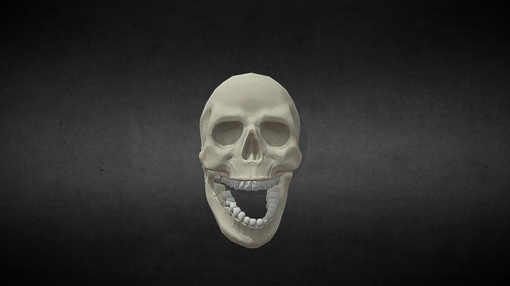 lowpoly realistic human skull 3D Model