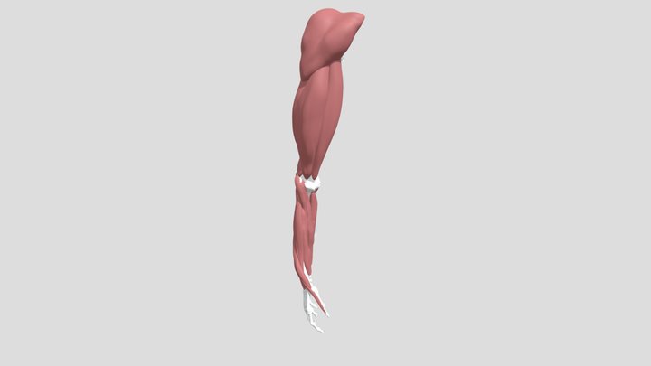 Army 3D Model