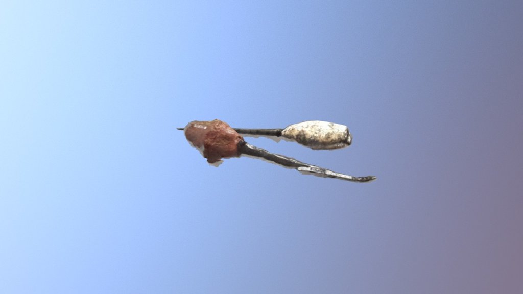 Puscica B